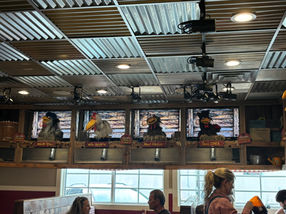 Frizzles Chicken Cafe Review