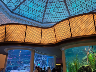 Stay' N Dry At The Shedd Aquarium