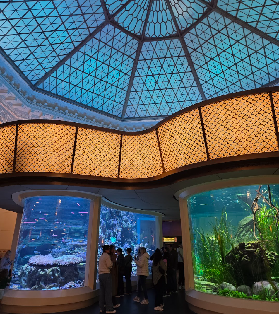 Stay' N Dry At The Shedd Aquarium