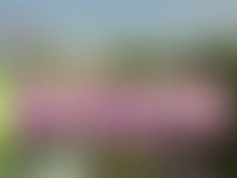 Six Flags  Mexico Rethemes There Boomerang Rollercoaster As Batgirl