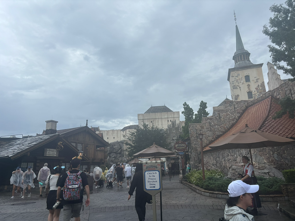 Norway is home to the Frozen ride and some Norwegian fare