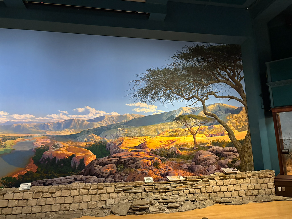 A neat mural as we enter another hall
