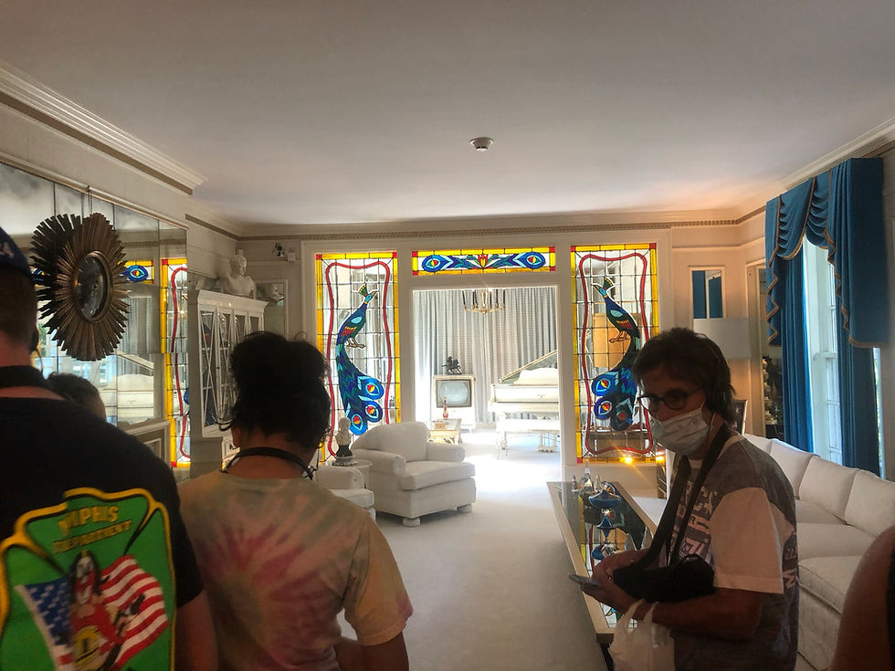 This is the Entry Way as You Enter the Graceland Estate. I love the stained glass flamingos!