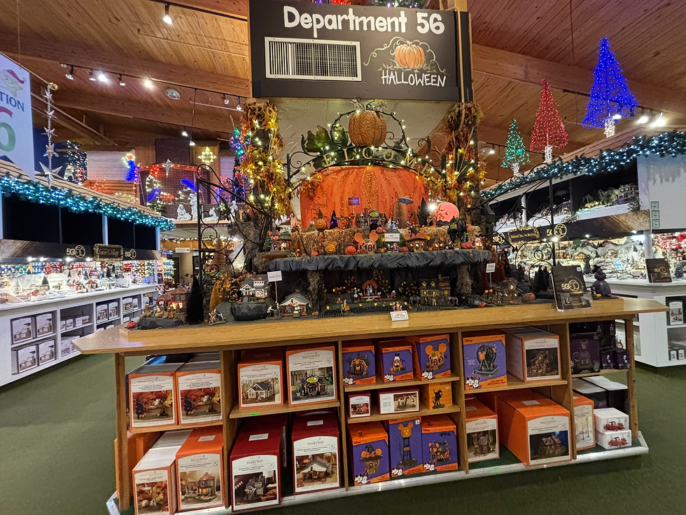 They Also Have The Halloween Villages On Display!