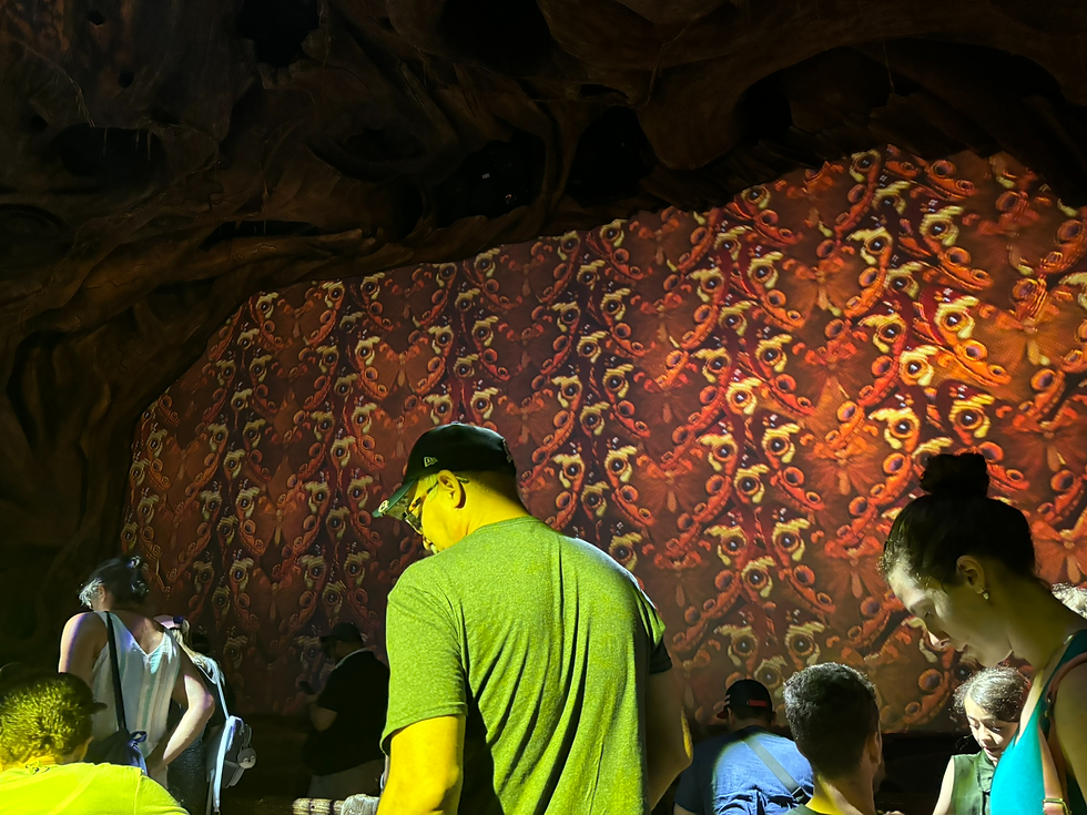 If you do not like Crawly Creatures and some mild jump scares, this ride is not for you....