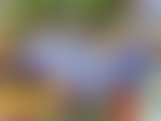 Planet Coaster 2 Release Date Confirmed