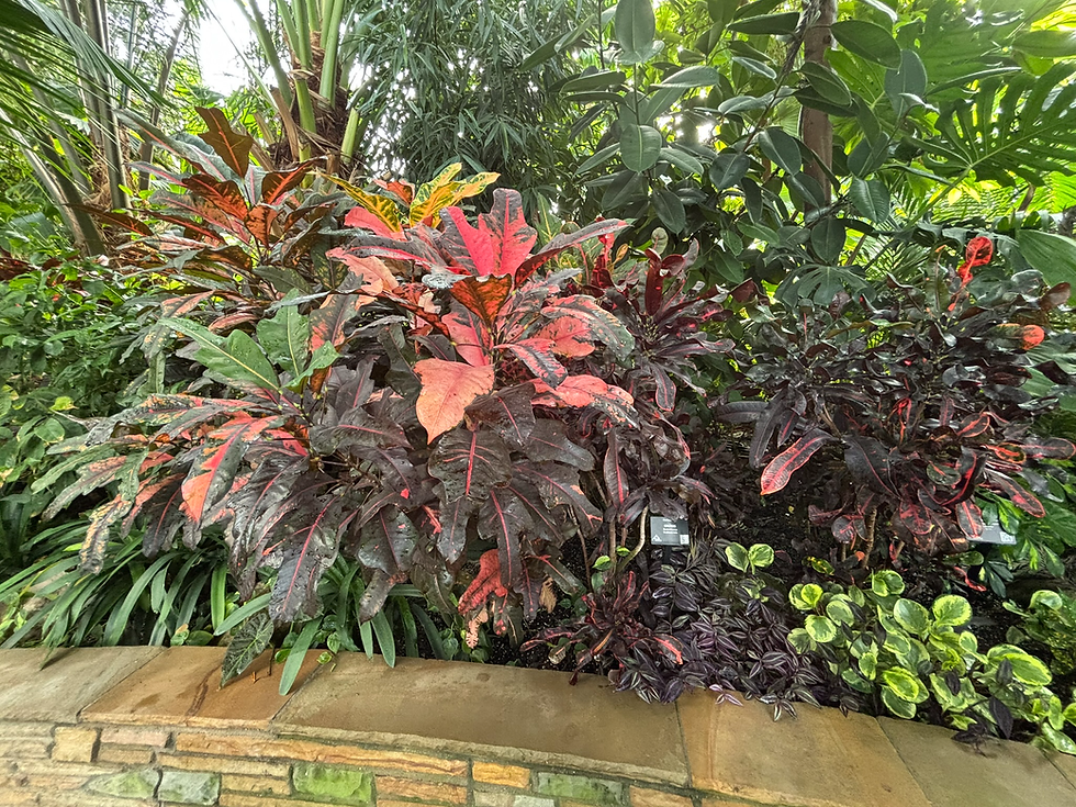 You Get Some Nice Photos Throughout The Conservatory