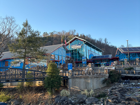 Under the Sea at the Ripley's Aquarium