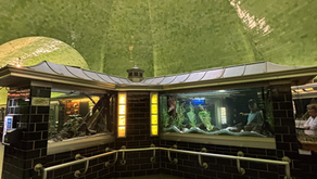 Sea-Life At The Belle Isle Aquarium!