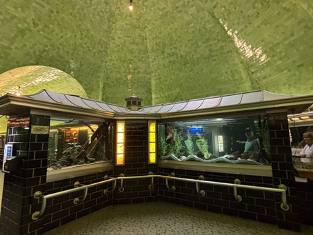 Sea-Life At The Belle Isle Aquarium!