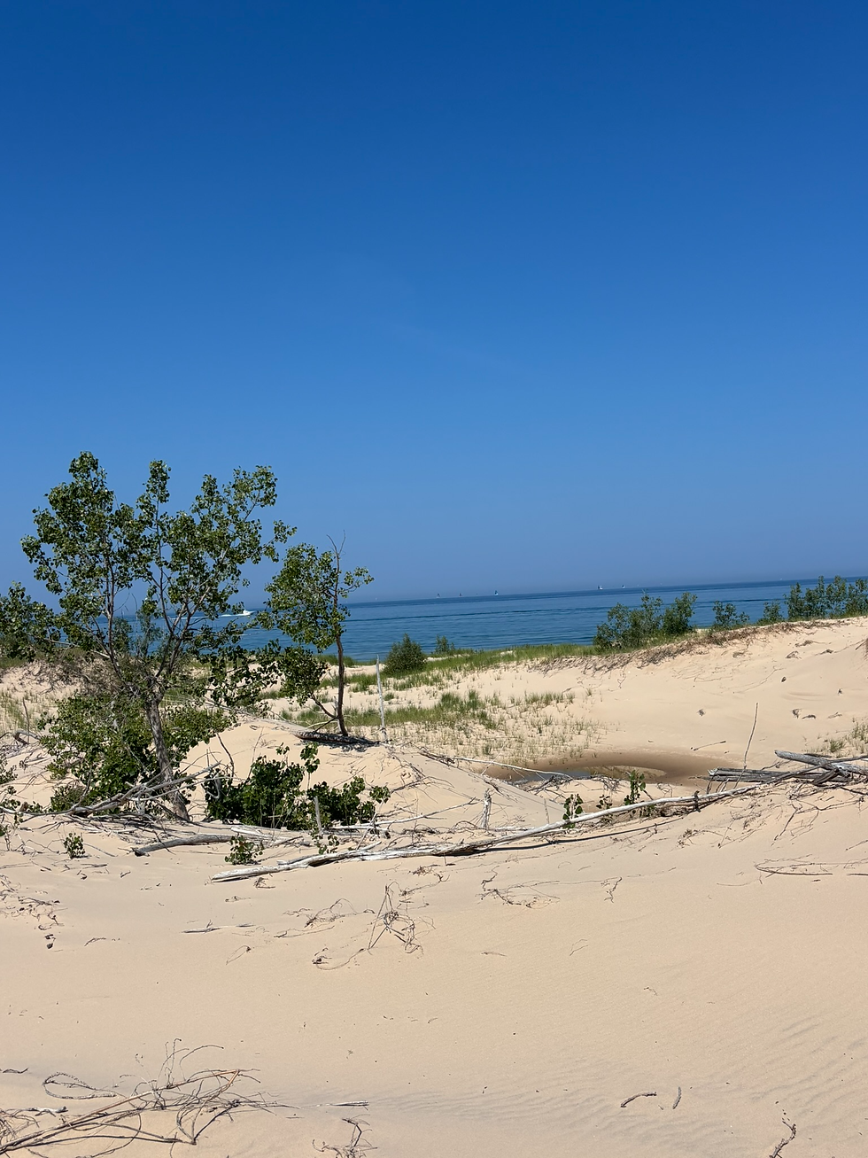 Lake Michigan In The Distance w/ The Sail Boat Race To Mackinac Island Going On