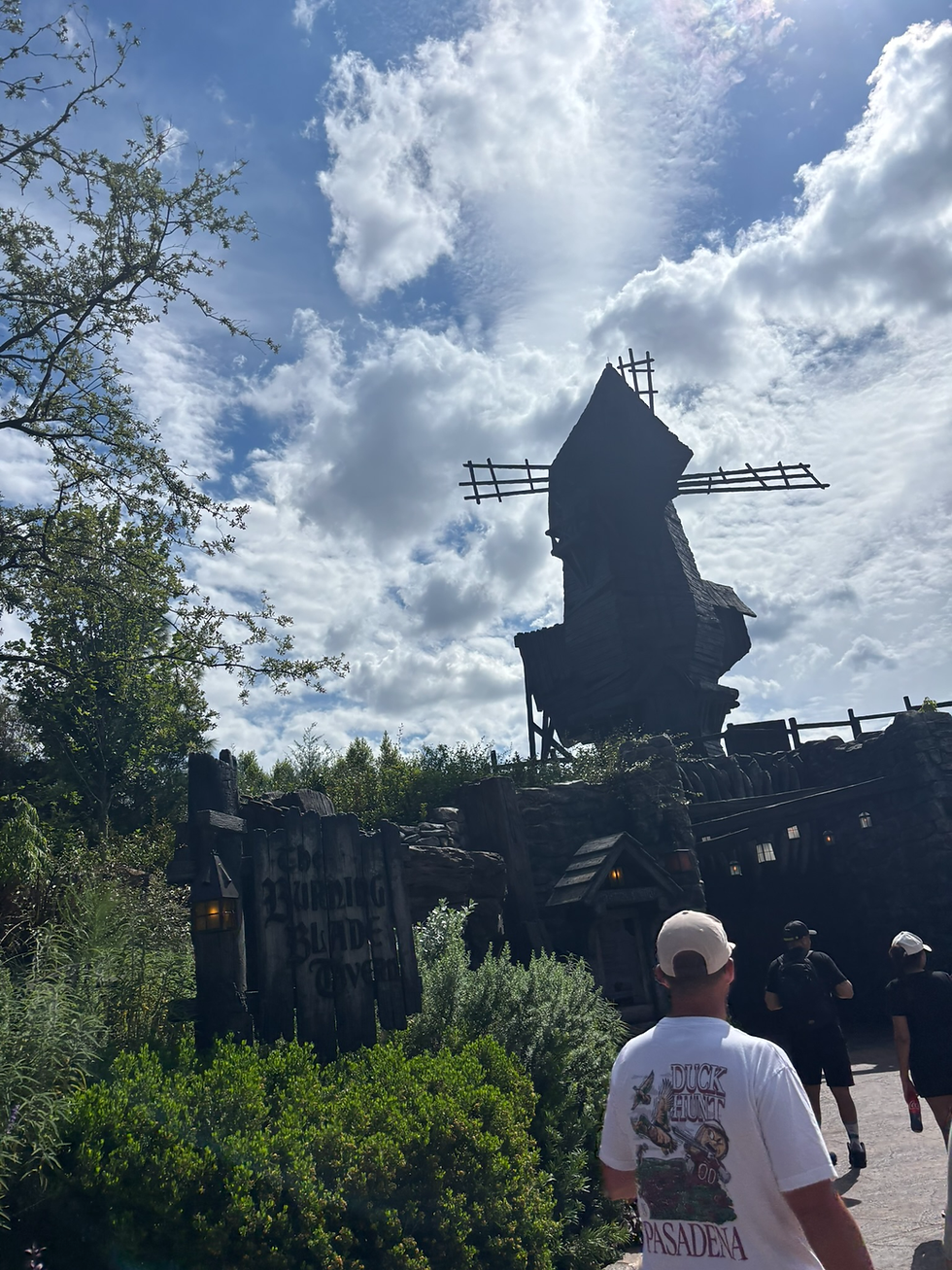 After, we explored around the land. The Burning Blade Tavern has a windmill that randomly combusts into flames!