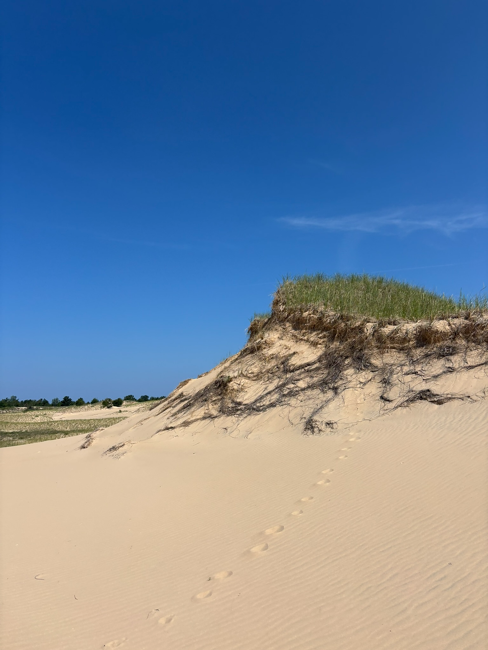 Someone Made A Walk To This Bluff, Who Might It Be?