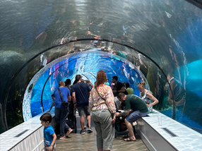 Wild Adventures At The Detroit Zoo