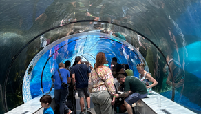 Wild Adventures At The Detroit Zoo