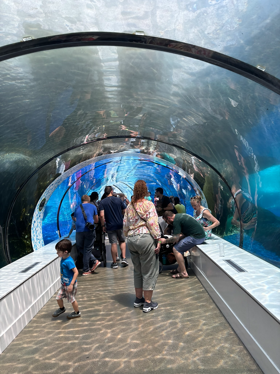Wild Adventures At The Detroit Zoo