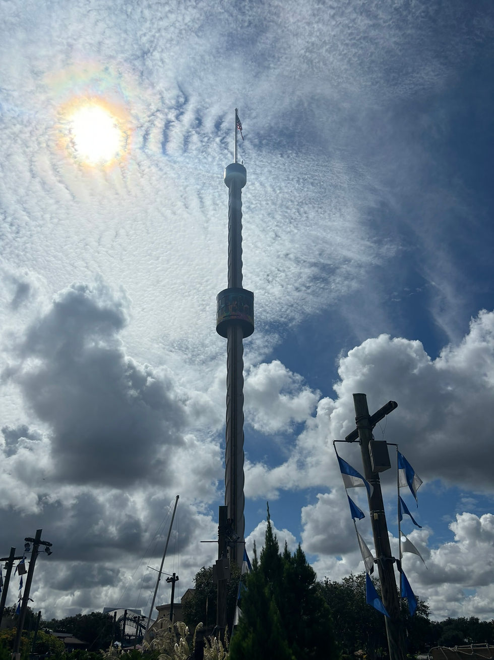 The Sky Tower is surprisingly operating today.