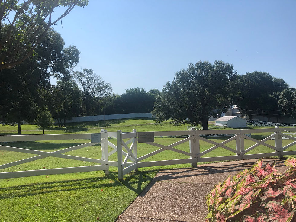 Elvis also had a pretty large backyard
