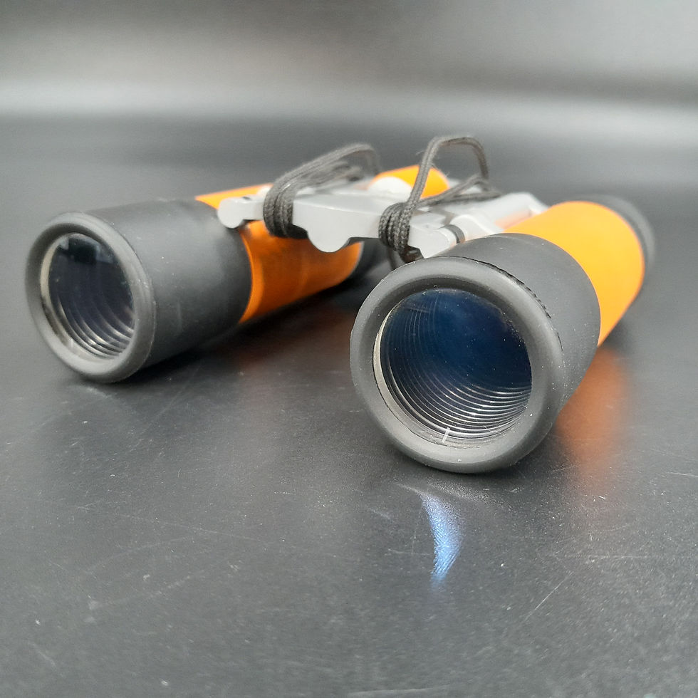 Kikkert i orange med etui