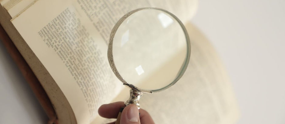 Paneles asesores y o mediadores expertos