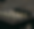 Captura de pantalla 2025-09-23 234316.png