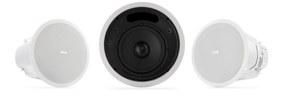 Ceiling Mount Subwoofer