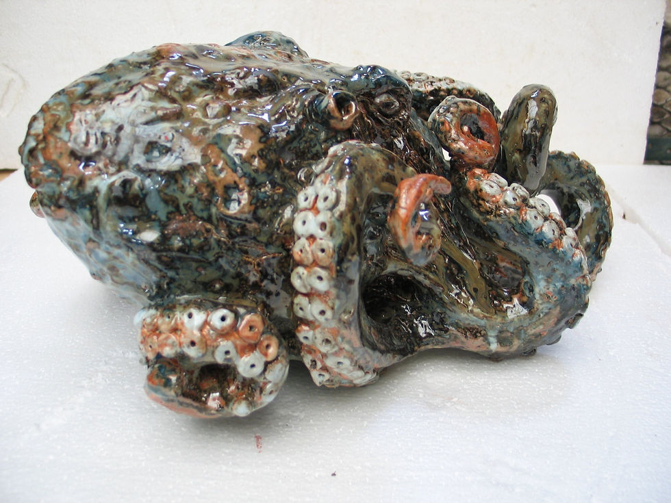Octopus 8