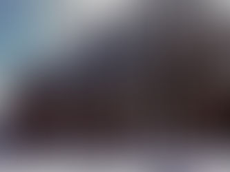 Hommage à Jim Morrison - Le Bal des dauphins