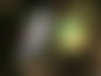 Hommage à René Guénon - Désirs