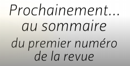 La vidéothèque