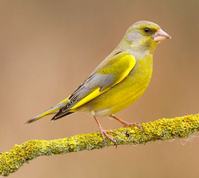 Croft Biodiversity Project Updates