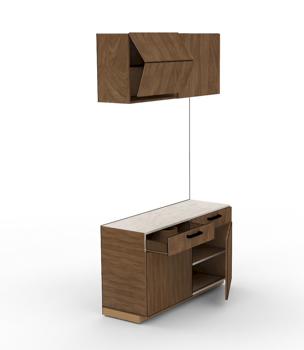 rhino 3D