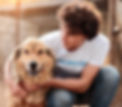 Dog Shelter_edited.jpg