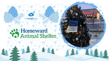 Nonprofit of the Day - Homeward Animal Shelter, Fargo ND