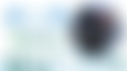 Nonprofit of the Day - Homeward Animal Shelter, Fargo ND