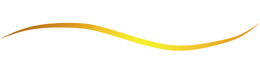 Untitled design (19)_edited.png
