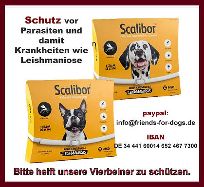 Scalibor-2020.jpg
