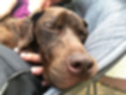 IMG-20190605-WA0003.jpg