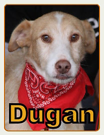 Dugan.JPG