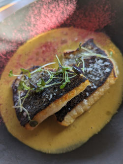 Murray Cod from Corella