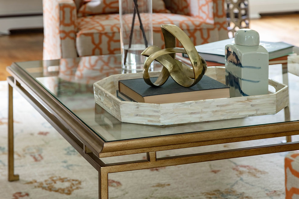 Living Room, Park Ridge, NJ JV Design Style