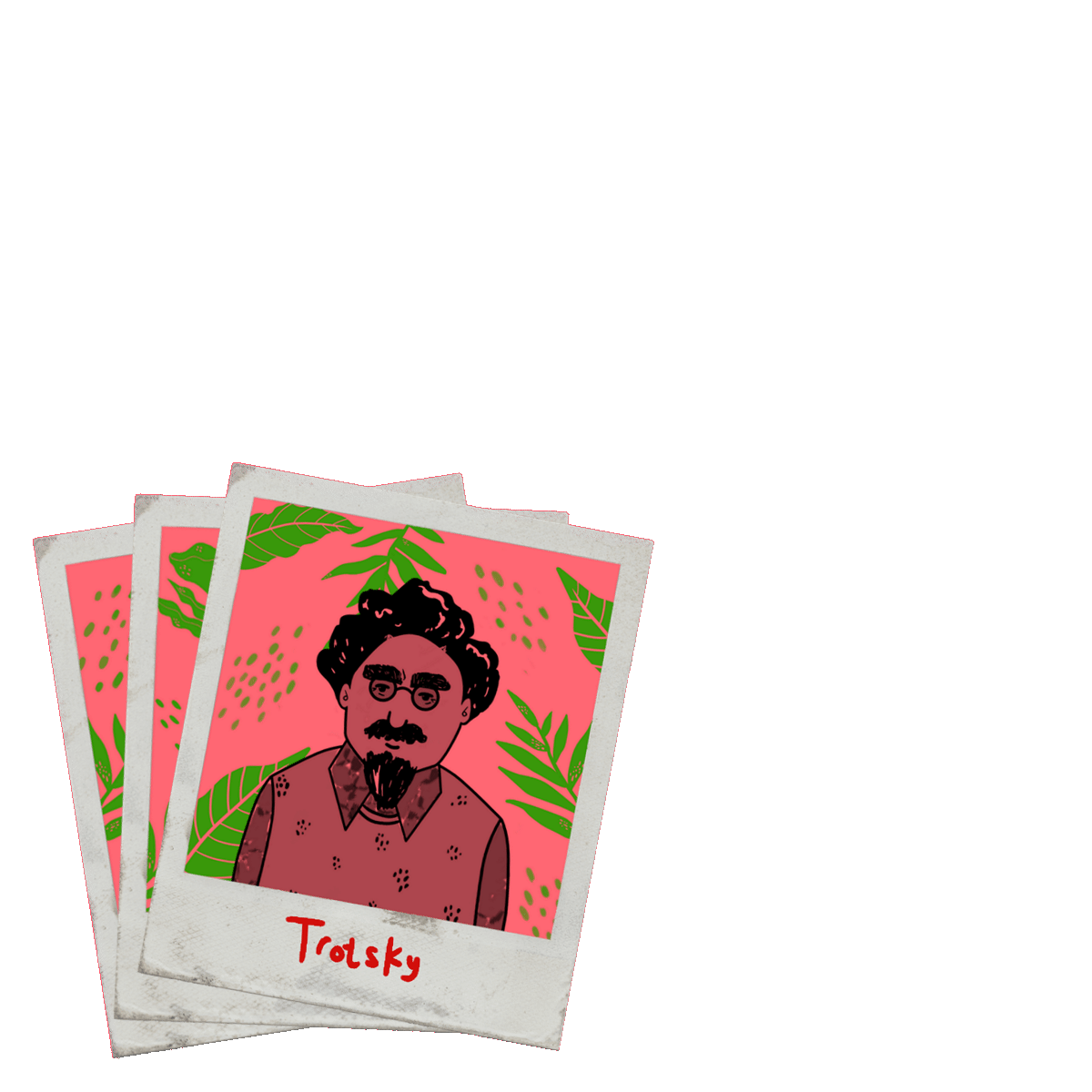 polaroids animadas.gif