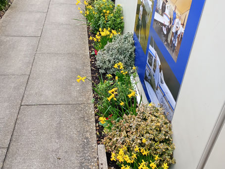 Aerobility - Latest pictures!