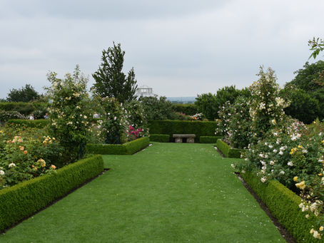 Visit to RHS Hyde Hall