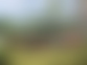 Encaixada no paraíso 