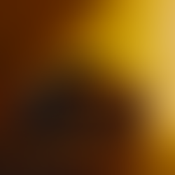 The Sound of Porsche