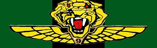 Lagu Tiger9