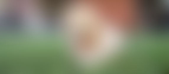 Top 5 Lawn Care Tips for a Picture-Perfect Yard