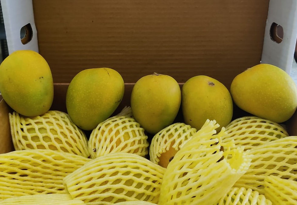 Thumbnail: Premium Alphonso Mangoes
