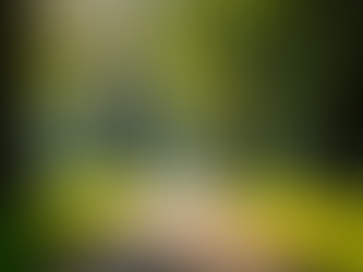 Understanding Mental Health: Its Significance and Ways to Cultivate Well-Being